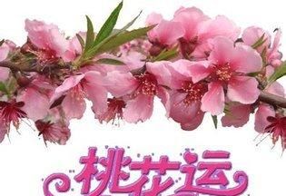 免费测桃花运,桃花运测试八字免费图2