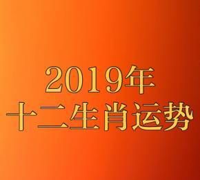 What is the Chinese zodiac sign in 2019? Picture 4