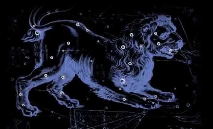 Leo's perfect match zodiac sign, what is the best zodiac sign for Leo? 6