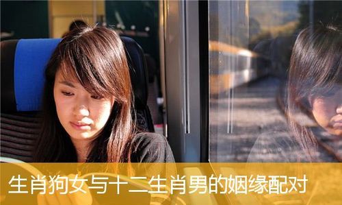 2生肖男的真爱是哪个生肖女
,属猪男人爱上一个女人的表现图2