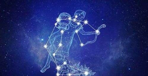 Aquarius's best work partner horoscope, Aquarius's best work partner horoscope chart 8