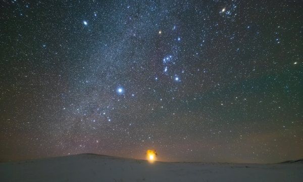 领导才能厉害的星座女,最会混职场的星座女图1