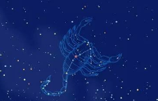 Why is it said that Scorpio is a boss? Is Scorpio a very suitable constellation for bosses? Figure 1