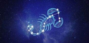 Compatible zodiac signs, Pisces and Virgo picture 4