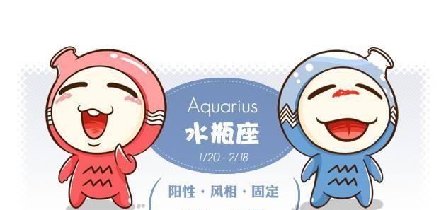 Aquarius' best work partner horoscope, Aquarius' best work partner horoscope chart 5