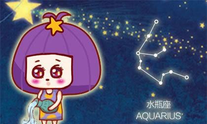 Aquarius' best work partner horoscope, Aquarius' best work partner horoscope chart 3