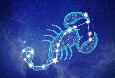 Calm and promising zodiac signs, mature and steady avatar picture 5