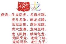 龙的成语大全四个字吉祥,龙的成语大全四个字