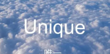 unique什么意思,unique是什么意思